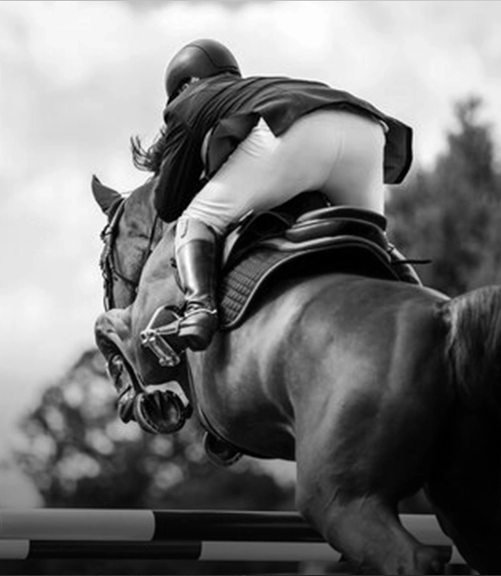 Equestrian Academies