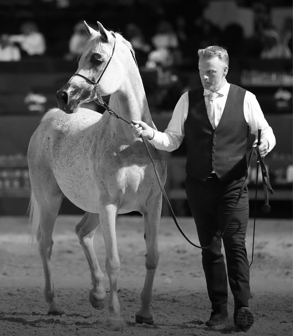 Halter Training Centers